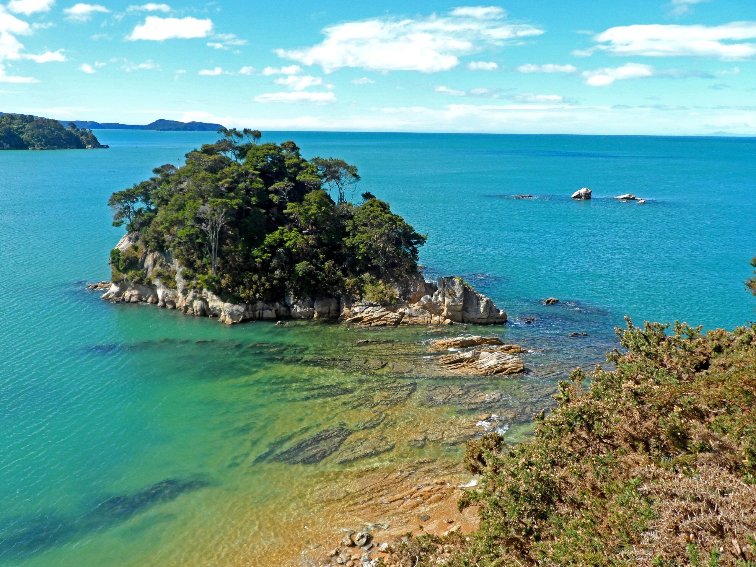 New Zealand Hiking